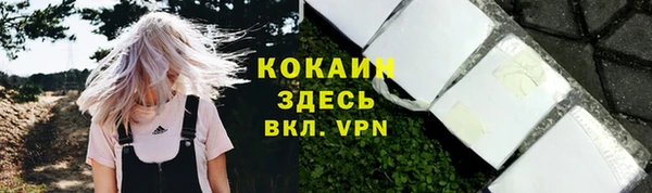 круглые Абаза
