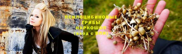 круглые Абаза